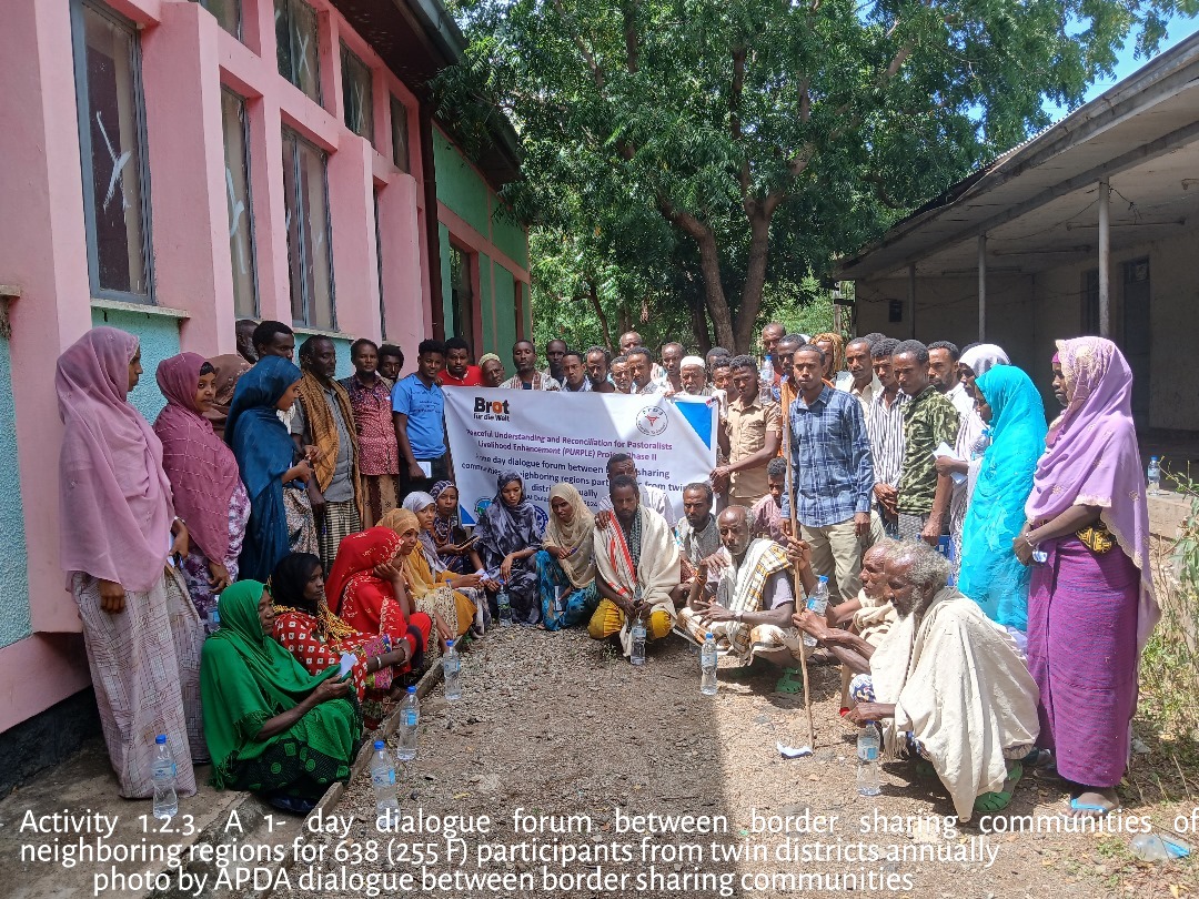 A Decrease in Conflict along the Afar–Oromo Border